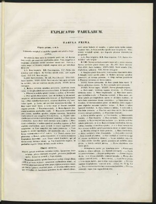 Explicatio Tabularum