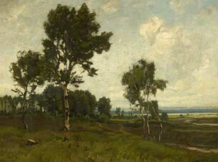 Landschaft mit Birken