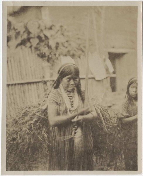 Les filles de Mosetene qui vont chercher de l'herbe