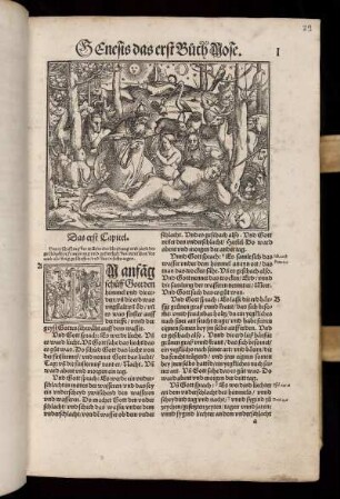 Genesis das erst Buch Mose