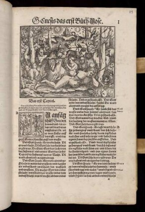 Genesis das erst Buch Mose