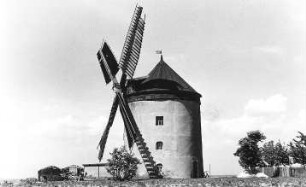 Hochkirch-Rodewitz. Erdholländer