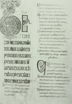 Psalterium Salabergae