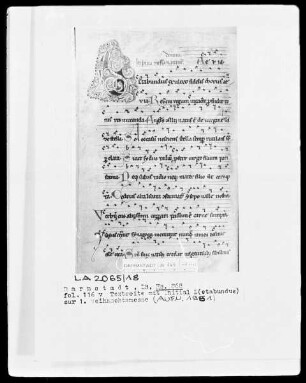 Graduale und Sequentiar — Initiale L(etabundus), Folio 116verso