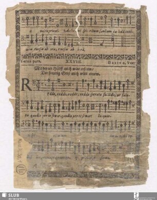 Bassus [incpl.]