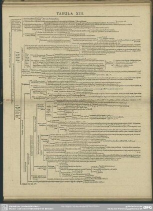 Tabula XIII.