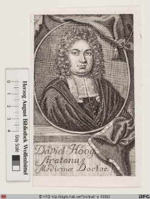 Bildnis David Fransz. van Hoogstraten
