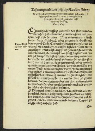 Von rechter bereittung und nützlichem gebrauch etlicher pulver/ confect/ und latwergen ... Das ix. Cap.