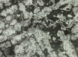Gusseisen, Schliffbild