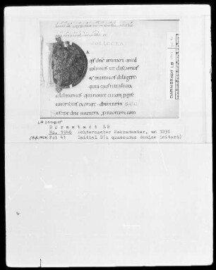 Sakramentar mit eingearbeitetem Graduale — Initiale D (a quaesumus domine imitari), Folio 41recto