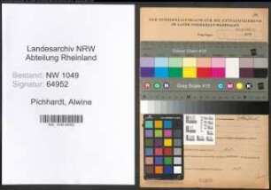 Entnazifizierung Alwine Pichhardt , geb. 12.01.1878 ()