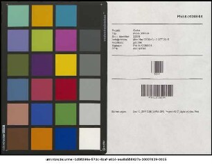M. Samuelis Schwanengelii Rectoris Vinariensis Rhetorica Synoptica