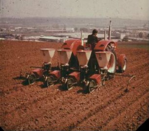 Fotografie: Zuckerrübe, Einzelkornsämaschine, Unterfußdüngung