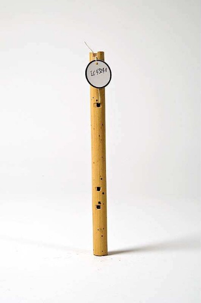 open longitudinal flute with finger holes