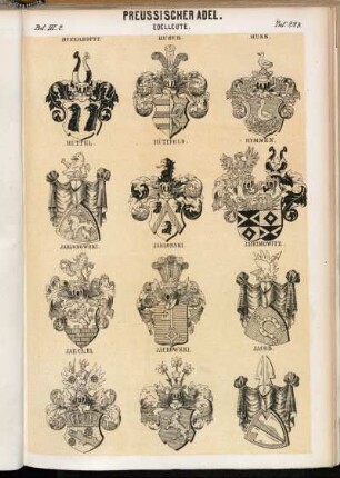 Taf. 229. Hünerkopff. - Hüser. - Huss. - Hüttel. - Hüttfeld. - Hymmen. - Jablonowski. - Jablonski. - Jachimowitz. - Jaeckel. - Jackowski. - Jacob