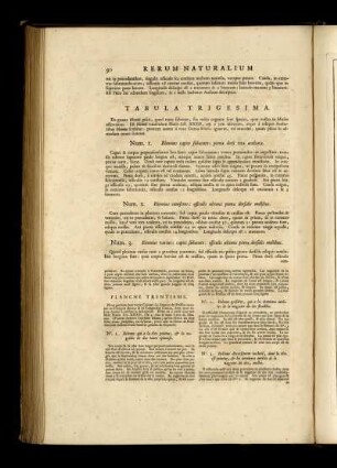 Tabula Trigesima. [bis] Tabula Quadragesima Et Prima.