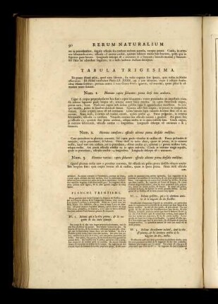 Tabula Trigesima. [bis] Tabula Quadragesima Et Prima.
