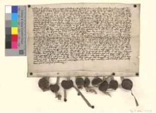"Heynrich Raekil zum Stencze", der "Hans Godeken" beraubt und gefangen genommen hatte, schwört Urfehde. Für ihn bürgen "Hans Luckaw czu Muschetin" gesessen, "Heynrich von Mogelyn, Jenchin u. Frederich von Rabenaw czum Stencze" gesessen, "Dyterich von Quassaw, Czachman von Quassaw czu Trepelin" gesessen, "Peschil Schoff zcu Horke" gesessen, "Heynrich Rakel czu Duepcz" gesessen. Datum: "Gegebin nach Crists gebort dreyzcenhundirt jar an deme eynenundnewczegesten jare an der nesten Mitwochin nach der heyligen czweir Czwelfboten Petirs und Sente Pawlstag".