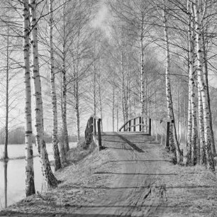 Landschaftsbild. Frühling im Spreewald. Leiper Weg. Heuschober. Die Wiesen sind überschwemmt. : Wobraz krajiny. Nalěćo w Błótach. Puć w Lipjem. Kopjena (Stogi). Łuki su přepławjene.