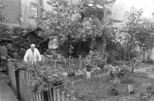Hinterhofwettbewerb des städtischen Gartenbauamts zur Verbesserung und Begrünung von Innen- und Hinterhöfen