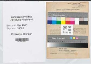 Entnazifizierung Heinrich Dollmann, geb. 12.03.1887 (Strassenbaumeister)