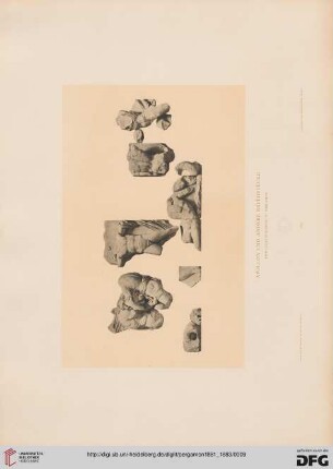 Tafel: Apollon und andere Bruchstücke