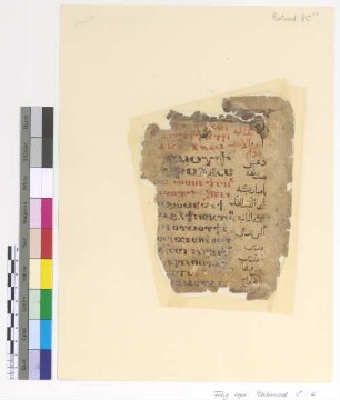 Theotokia of Sunday
