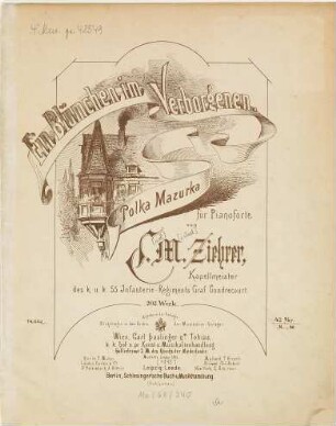 Ein Blümchen im Verborgenen : Polka Mazurka ; für Pianoforte ; op. 202