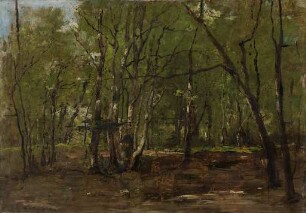 Waldlandschaft (Studie zu Die Pfauen)