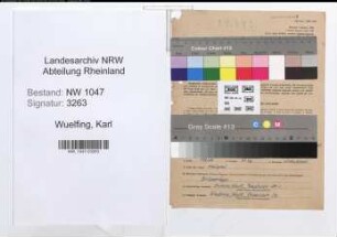 Entnazifizierung Karl Wuelfing , geb. 29.03.1896 (Richter)