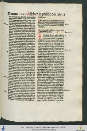 Dominica in passione domini