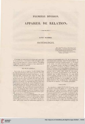 Livre premier: Ostéologie