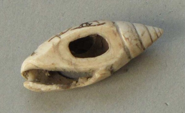 Shell jewellery (fragment)