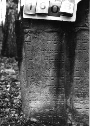 Grabstein 160 (Index: 99751990) Material: Sandstein Zustand: abgeblättert mit großem Textverlust Maße HxBxT: 112x76x13 cm Beschreibung: Doppelstele m. Eselsrückenabschlüssen, Schriftfelder eingetieft Symbolik: Blätter: Grabstein 160B