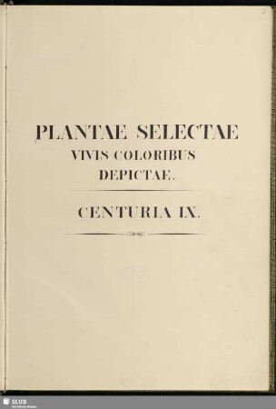 9: Plantae selectae vivis coloribus depictae. Band 9 - Mscr.Dresd.App.3413,Bd.9