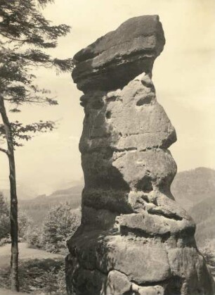 Sächsische Schweiz. Blick vom Großen Winterberg nach Nordwesten. Vorn Hohler Stein am Bergsteig gegen Heringsgrund. Hinten links Elbtal bei Bad Schandau