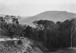 Urwaldlandschaft : Unberührter Regenwald rechts und ausgedünnter Regenwald auf der linken Seite. Im Vordergrund eine gerodete Fläche.