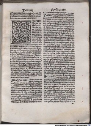 Quaestiones super tota philosophia naturali cum explanatione textus Aristotelis secundum mentem Scoti