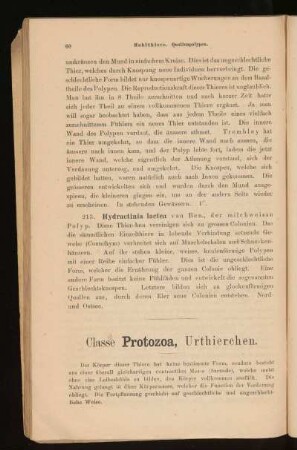 Classe Protozoa, Urthierchen