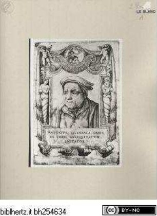 Bildnis Antonio Salamancas