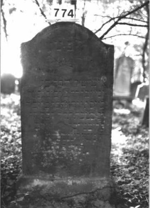 Grabstein 774 (Index: 99900347) Material: Sandstein Zustand: stellenweise stark verwittert Maße HxBxT: 129x64x7 cm Beschreibung: Stele mit Konvexbogenabschluss, im Bogenfeld gekreuzte Zweige Symbolik: Zweige: Grabstein 774