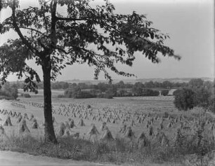 Quatitz. Blick auf Felder