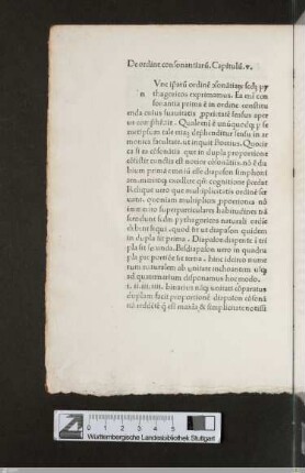 Liber IV / Cap. V