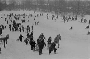 Leipzig, Johannapark. Kinder beim Ski- und Schlittenfahren im Johannapark