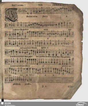 VII. Trachtet am ersten