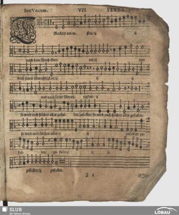 VII. Trachtet am ersten