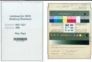 Entnazifizierung Paul Pex , geb. 26.02.1900 (Kfm.ang.)