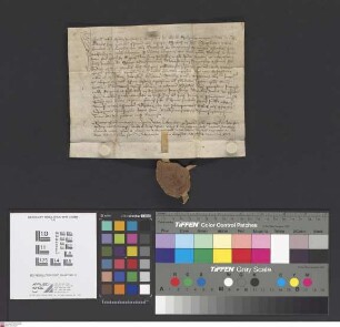 Seligenstadt: Judices ecclesie Aschaffenburgensis investiunt religiosum virum D. Nicolaum de Baccarach beneficio ecclesie parochialis in Seligenst...