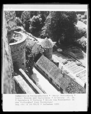 Burg Guttenberg — Vorburg