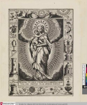 [Mondsichelmadonna, Maria mit dem Christuskind auf dem Arm umgeben von einem Sternennimbus, steht auf einer Mondsichel um die sich eine Schlange windet; ein Rahmen mit Attributen des Marienlebens als Einfassung]